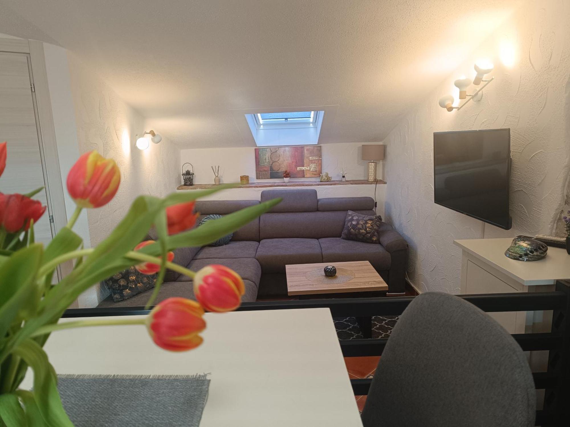 Adria Pearl Appartments Vrsar Exterior foto